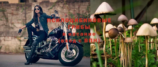 спиды Беломорск